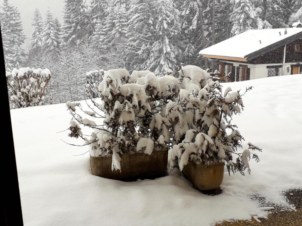 Studio Avec Jardin Amenage Et Wifi A Cordon A 1 Km Des Pistes Apartman Kültér fotó