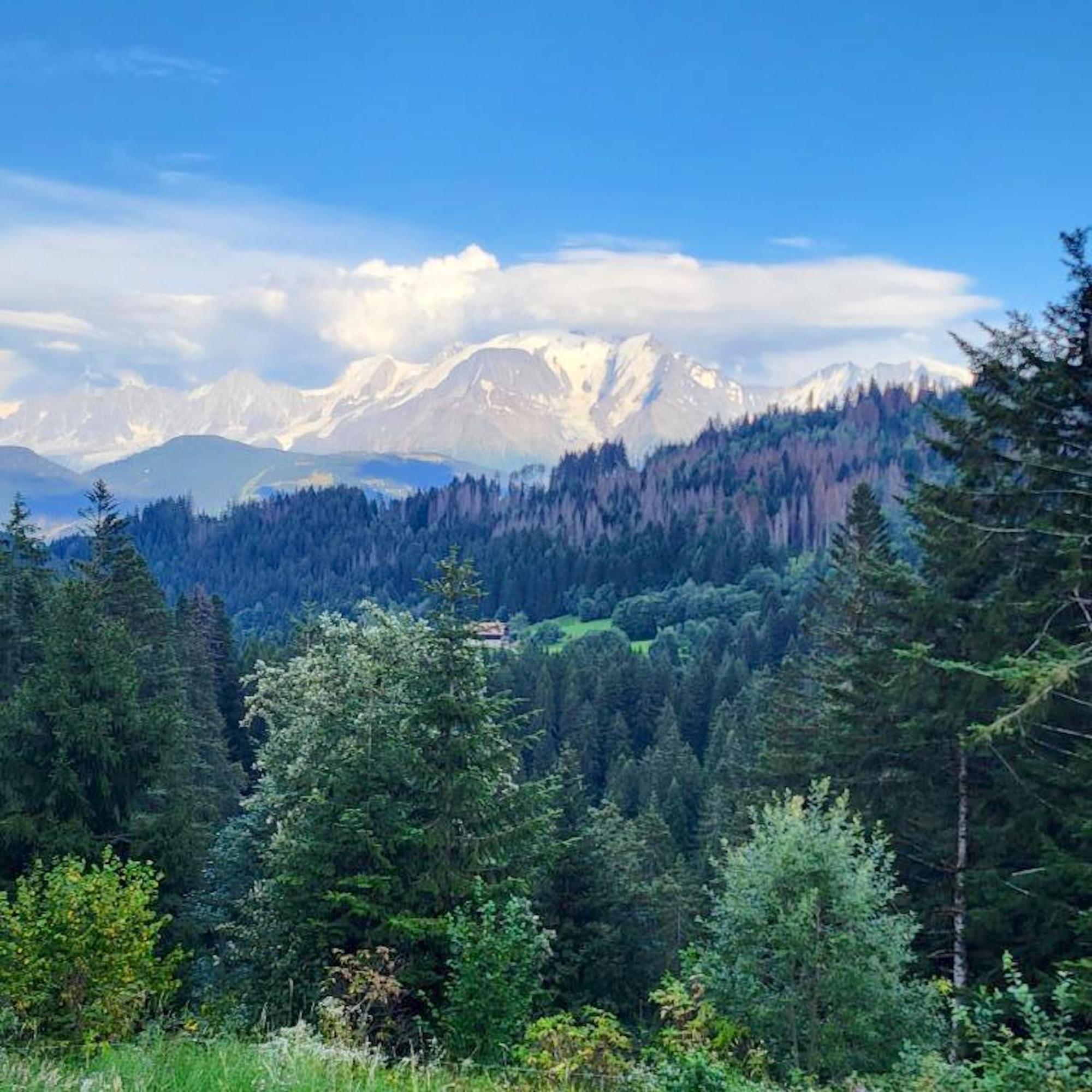 Studio Accueillant A Cordon Vue Mont Blanc 22 M² Parking Inclus Kültér fotó