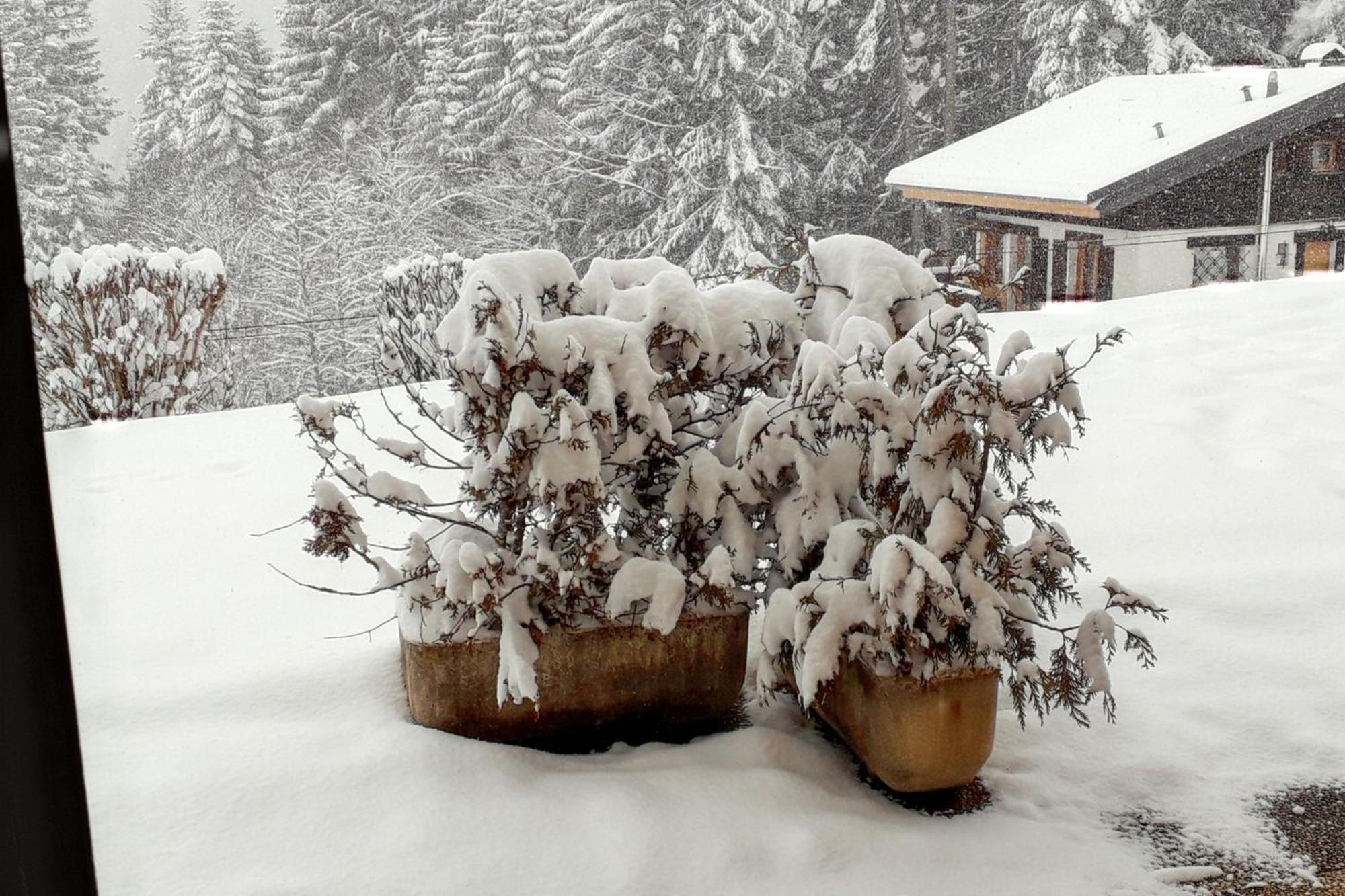 Studio Accueillant A Cordon Vue Mont Blanc 22 M² Parking Inclus Kültér fotó
